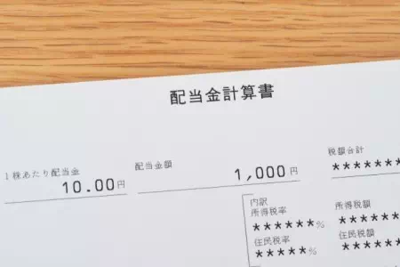 配当金計算書のイメージ図